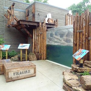 Humboldt Penguin Exhibit (New in 2013)