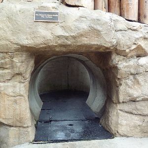 Humboldt Penguin Exhibit (New in 2013)