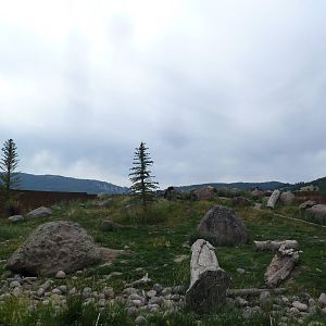 Grizzly Bear Exhibit
