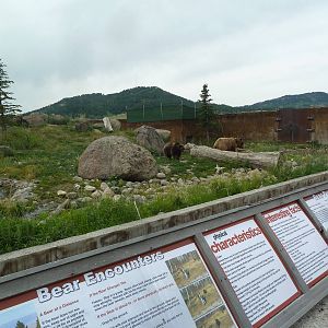 Grizzly Bear Exhibit + Signage