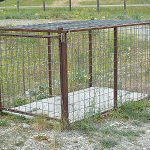 Grizzly Bear Cage (see below for story)