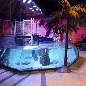 Bay of Rays Exhibit