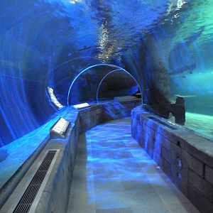 300-Foot Ocean Tunnel Tank