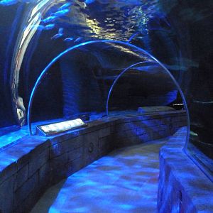 300-Foot Ocean Tunnel Tank