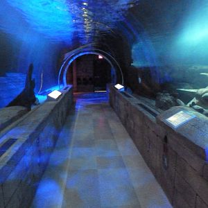 300-Foot Ocean Tunnel Tank