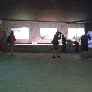 View in the Aquarium