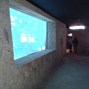 Aquarium