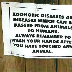 Signage, 13th September 2013