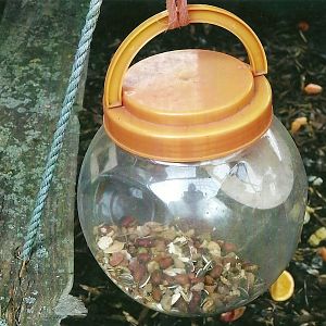 Ring-tailed Lemur enrichment, 13th September 2013