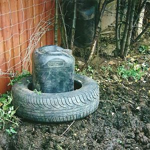 Kune Kune Pig enrichment, 13th September 2013