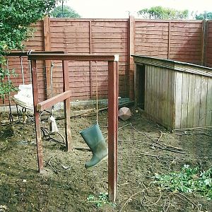 Kune Kune Pig enrichment, 13th September 2013