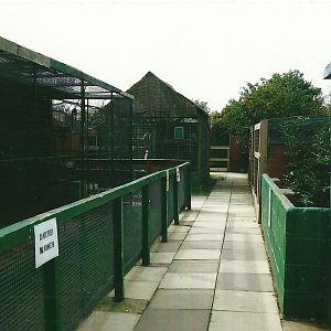 Outdoor area showing Capuchin cage on left, 13th September 2013