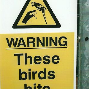 Signage, 13th September 2013