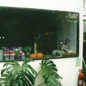 Zoo kitchen, 13th September 2013