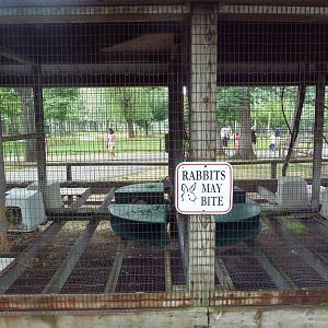 Rabbit Cages