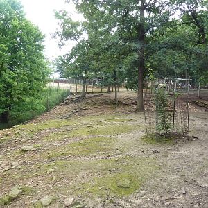 Free-Roaming Fallow Deer Area