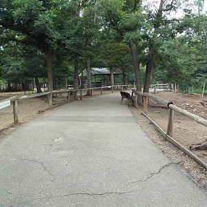Free-Roaming Fallow Deer Area