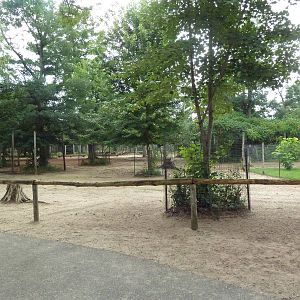 Free-Roaming Fallow Deer Area