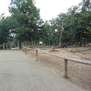 Free-Roaming Fallow Deer Area