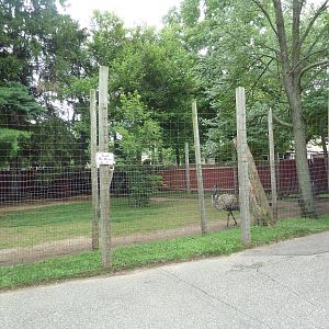 Emu Exhibit