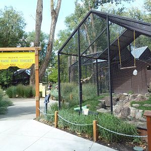 Rare Bird Exhibit Complex