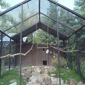 Rare Bird Exhibit Complex - Kea Exhibit