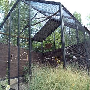 Rare Bird Exhibit Complex - Blue-Headed Macaw Exhibit
