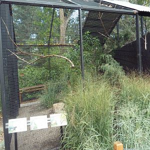 Rare Bird Exhibit Complex (3 Species)