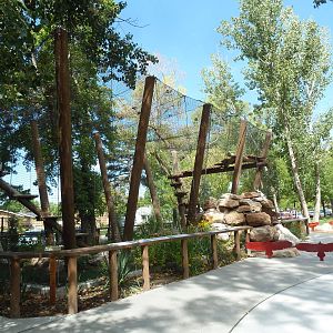 King of the Andes - Andean Condor Exhibit (New in 2013)
