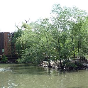 Waterfowl Pond (11 Species)