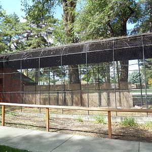Empty Exhibit (old King Vulture Aviary)