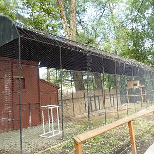 Empty Exhibit (old King Vulture Aviary)