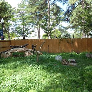 Golden Eagle Exhibit
