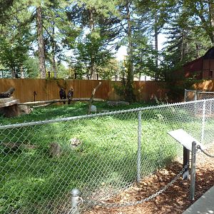 Golden Eagle Exhibit