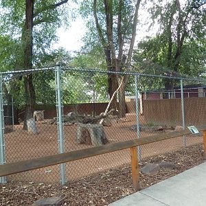 Southern Ground Hornbill Exhibit