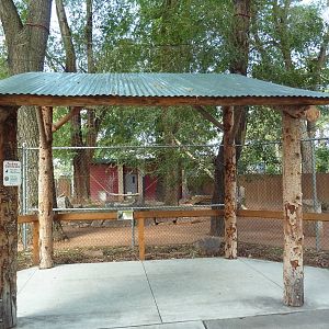 Southern Ground Hornbill Exhibit
