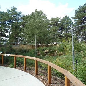Sandhill Crane Exhibit