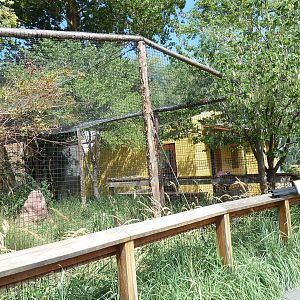 Destination Argentina - Red-Legged Seriema Exhibit