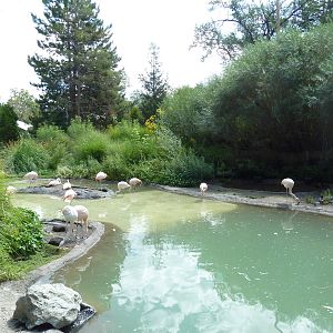 Destination Argentina - Lagoon (9 Species)