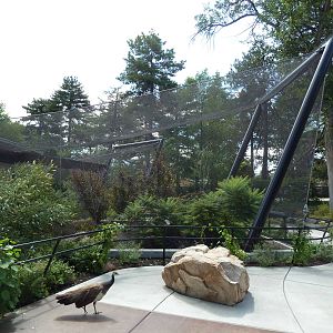 South American Pavilion (review below)