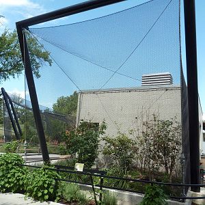 South American Pavilion (review below)