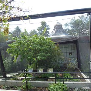 South American Pavilion (review below)