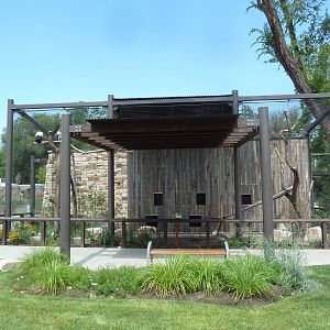King Vulture Exhibit