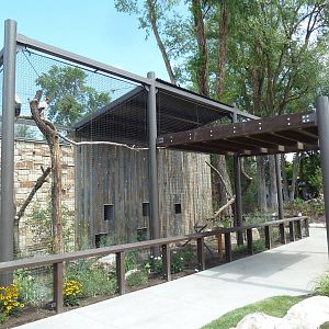 King Vulture Exhibit