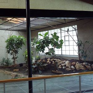 South American Pavilion (review below)