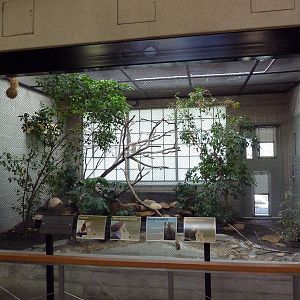 South American Pavilion (review below)