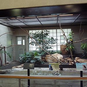 South American Pavilion (review below)