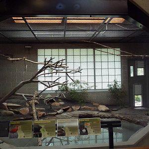 South American Pavilion (review below)