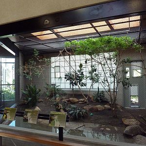 South American Pavilion (review below)