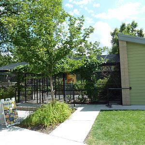 Sun Conure Walk-Through Aviary